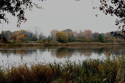 Frühlingsfoto von Czeslaw Gorski-002_herbstfoto-czeslaw-gorski-see-am-lebehn