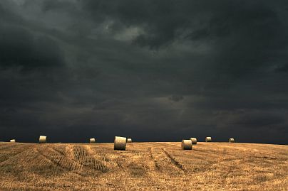 Frühlingsfoto von Czeslaw Gorski-003_herbstfoto-czeslaw-gorski-ernte-strohrollen-auf-dem-feld