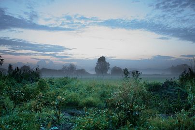 Frühlingsfoto von Czeslaw Gorski-006_herbstfoto-czeslaw-gorski-abendlandschaft-nebelwiese
