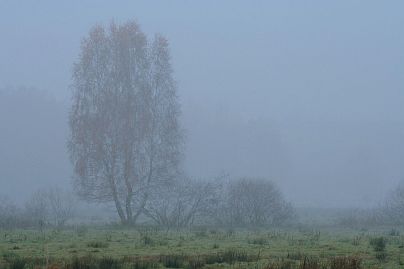 Frühlingsfoto von Czeslaw Gorski-008_herbstfoto-czeslaw-gorski-abendlandschaft-nebelwiese