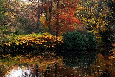 Frühlingsfoto von Czeslaw Gorski-024_herbstfoto-czeslaw-gorski-herbst-im-spiegel-des-sees