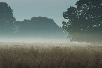 Frühlingsfoto von Czeslaw Gorski-028_herbstfoto-czeslaw-gorski-herbstapfel