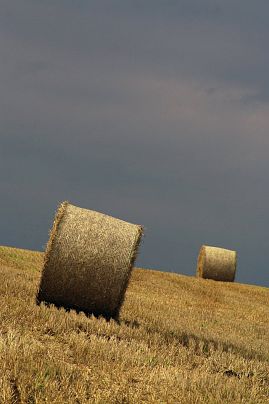 Frühlingsfoto von Czeslaw Gorski-037_herbstfoto-czeslaw-gorski-ernte-strohrollen-auf-dem-feld