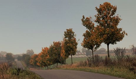 Frühlingsfoto von Czeslaw Gorski-041_herbstfoto-czeslaw-gorski-herbststrasse-in-der-am-pampow