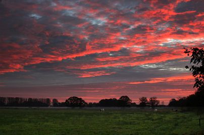 Frühlingsfoto von Czeslaw Gorski-042_herbstfoto-czeslaw-gorski-lila-sonnenuntergang