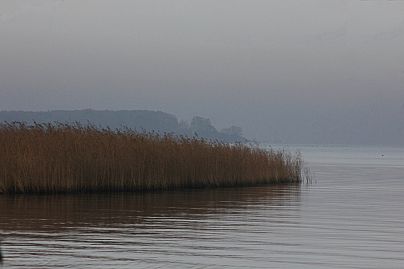 Frühlingsfoto von Czeslaw Gorski-043_herbstfoto-czeslaw-gorski-schilfbeet-am-stettiner-haff