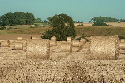 Frühlingsfoto von Czeslaw Gorski-045_herbstfoto-czeslaw-gorski-ernte-strohrollen-auf-dem-feld
