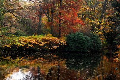 Herbstfoto von Czeslaw Gorski-024-herbstfoto-czeslaw-gorski-herbst-im-spiegel-des-sees