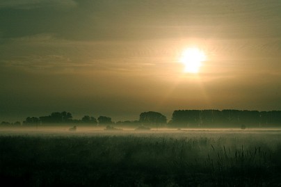 Frühlingsfoto von Czeslaw Gorski-041_sonnenaufgang-auf-einer-nebligen-wiese
