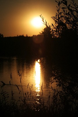 Frühlingsfoto von Czeslaw Gorski-043_sonnenuntergang-ueber-der-spree