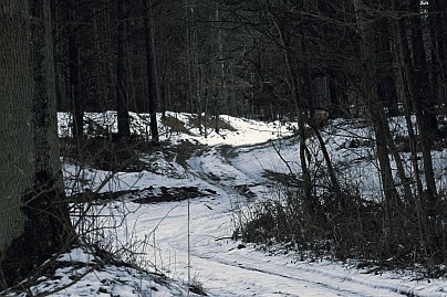 Winterfoto von Czeslaw Gorski-014_gefrorener-weg-mitten-im-wald