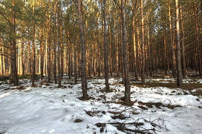 Winterfoto von Czeslaw Gorski-004-ein-bisschen-sonne-im-winterwald