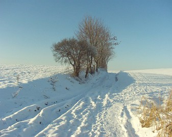 Winterfoto von Czeslaw Gorski-009-feldweg-im-winter