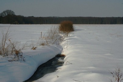Winterfoto von Czeslaw Gorski-017-graben-mit-wasser-in-einem-schneefeld