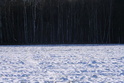 Winterfoto von Czeslaw Gorski-022-schnee-auf-dem-feld-und-schwarze-waldwand